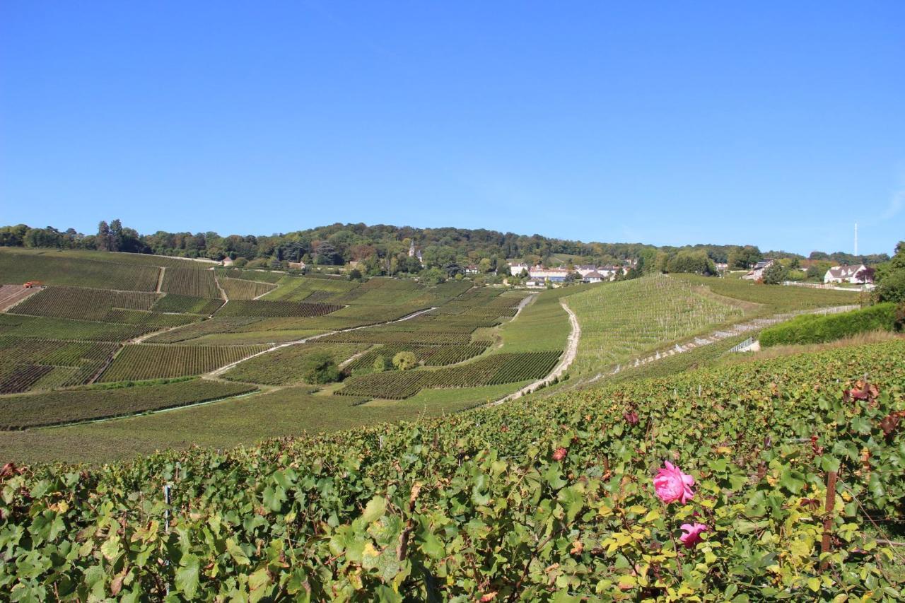 Enjoy En Champagne Au Calme Milieu Des Vignes Jo Paris 2024 Villa Dormans Exterior photo