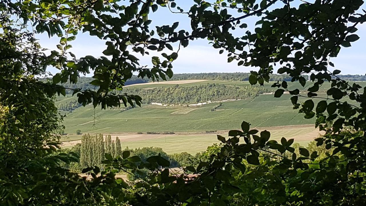 Enjoy En Champagne Au Calme Milieu Des Vignes Jo Paris 2024 Villa Dormans Exterior photo